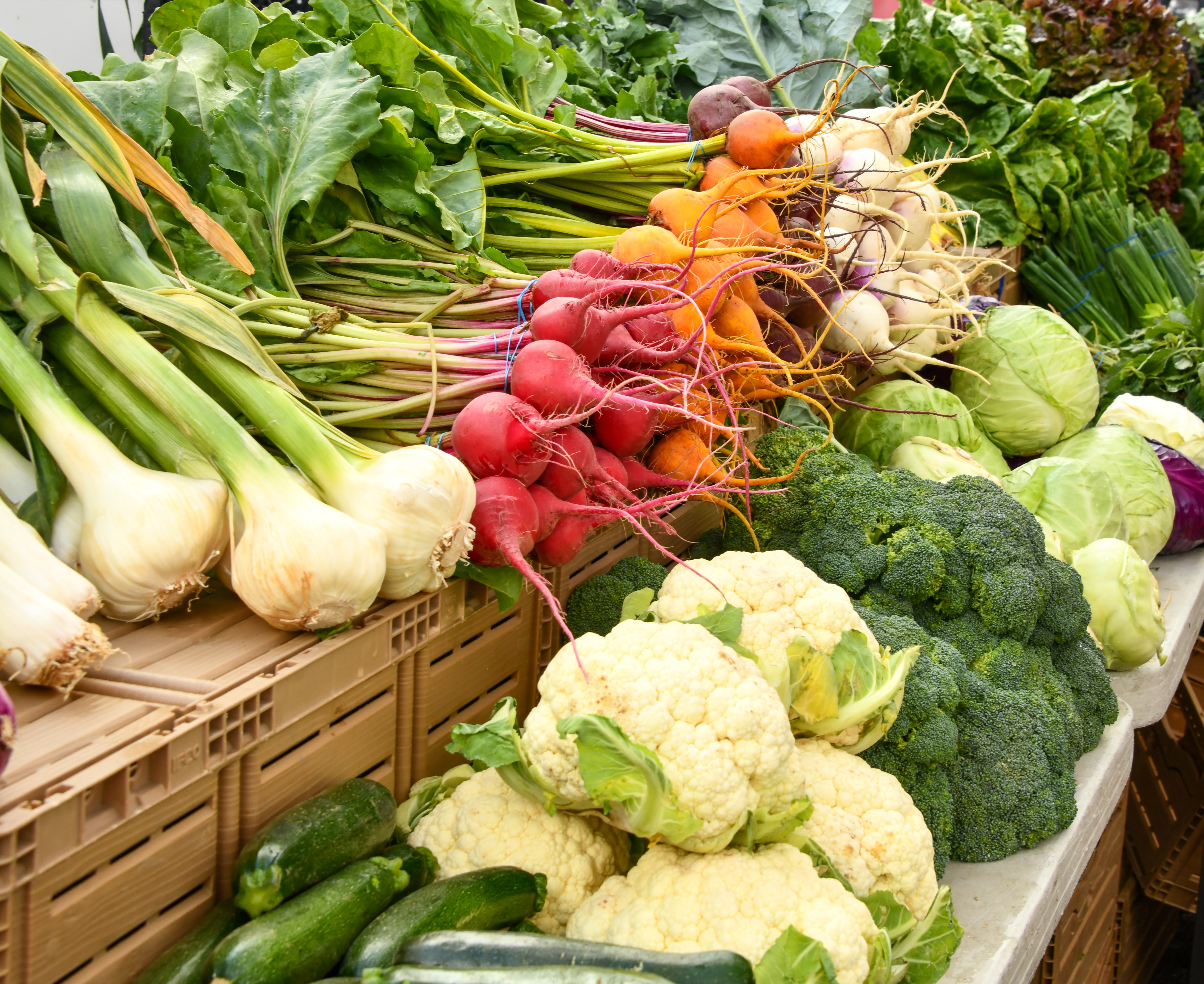 Organic vegetables, cindy